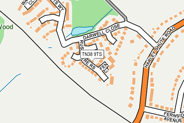 TN38 9TS map - OS OpenMap – Local (Ordnance Survey)