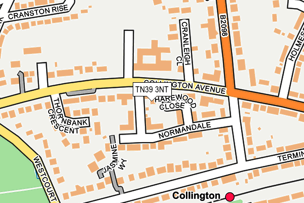 TN39 3NT map - OS OpenMap – Local (Ordnance Survey)