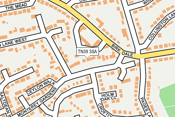 TN39 3SA map - OS OpenMap – Local (Ordnance Survey)