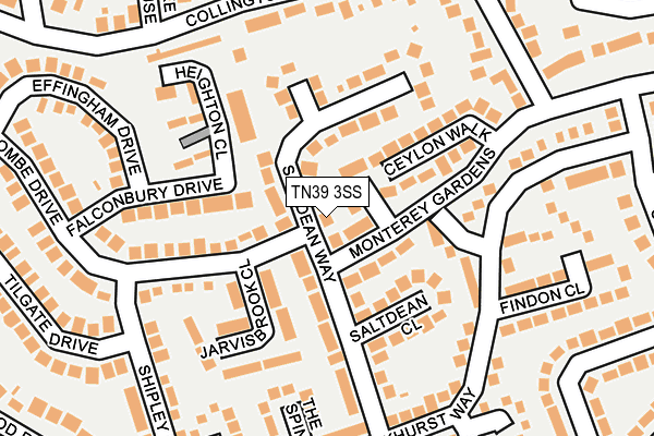 TN39 3SS map - OS OpenMap – Local (Ordnance Survey)
