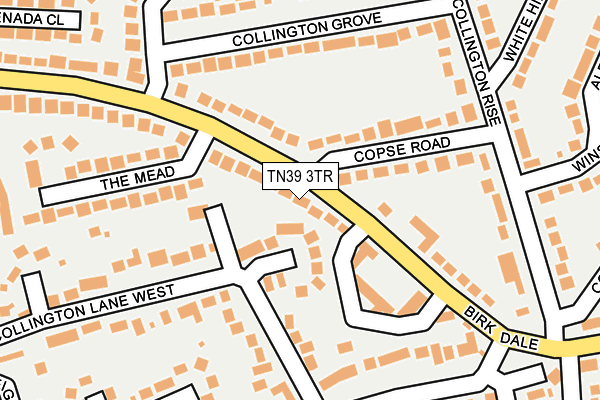 TN39 3TR map - OS OpenMap – Local (Ordnance Survey)