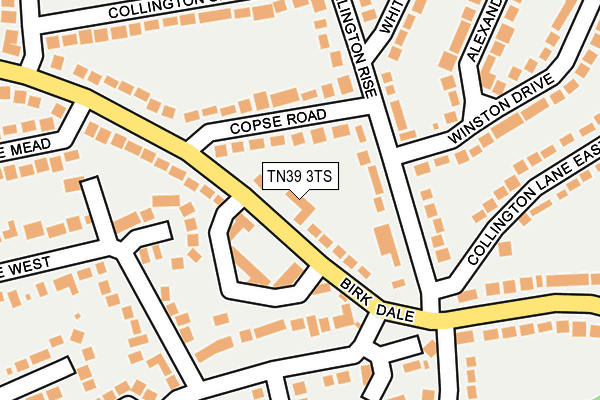 TN39 3TS map - OS OpenMap – Local (Ordnance Survey)
