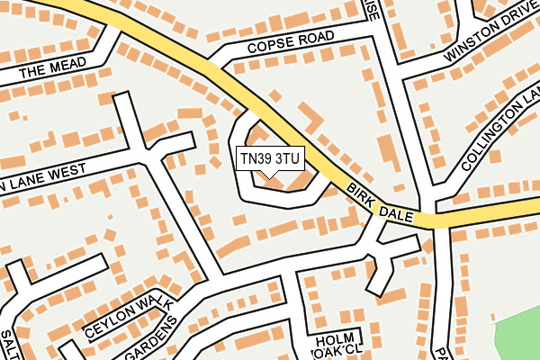 TN39 3TU map - OS OpenMap – Local (Ordnance Survey)
