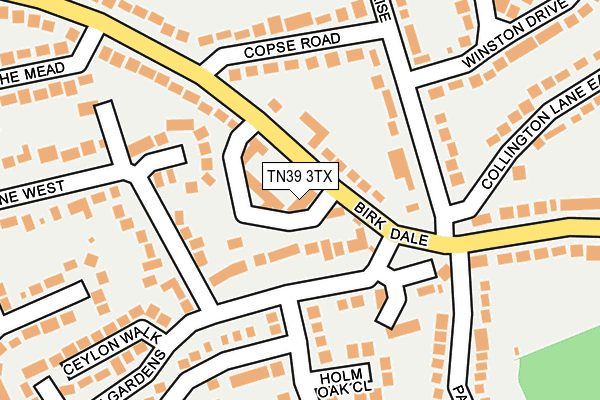 TN39 3TX map - OS OpenMap – Local (Ordnance Survey)