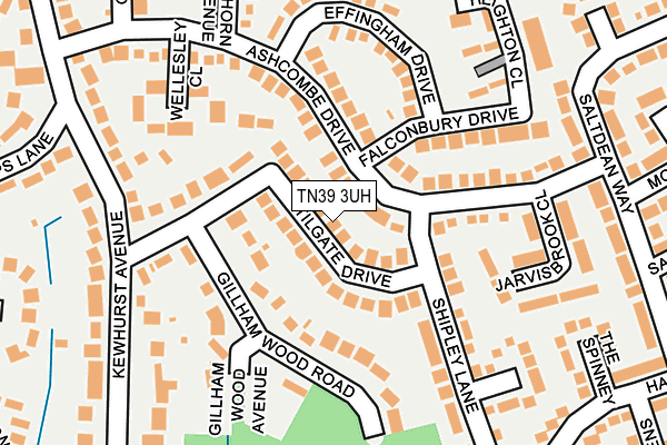 TN39 3UH map - OS OpenMap – Local (Ordnance Survey)