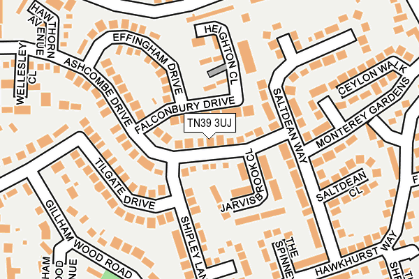 TN39 3UJ map - OS OpenMap – Local (Ordnance Survey)