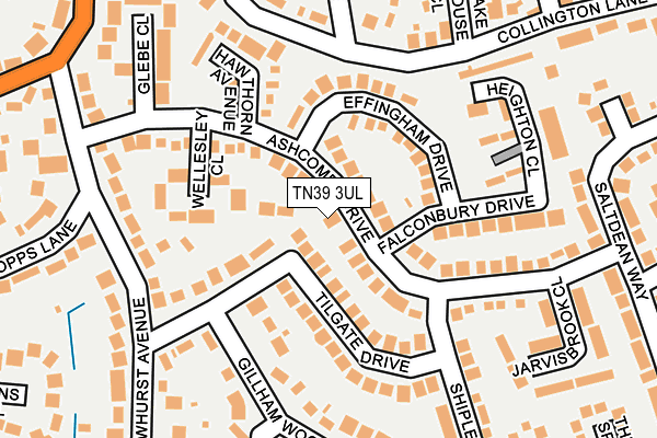 TN39 3UL map - OS OpenMap – Local (Ordnance Survey)