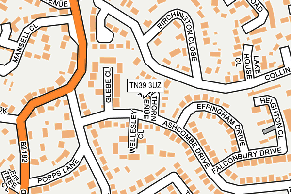 TN39 3UZ map - OS OpenMap – Local (Ordnance Survey)