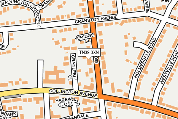 TN39 3XN map - OS OpenMap – Local (Ordnance Survey)