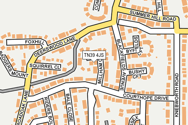 TN39 4JS map - OS OpenMap – Local (Ordnance Survey)