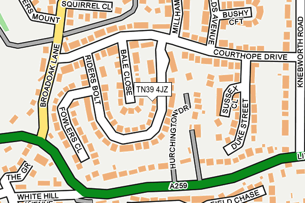 TN39 4JZ map - OS OpenMap – Local (Ordnance Survey)