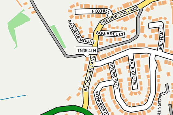 TN39 4LH map - OS OpenMap – Local (Ordnance Survey)