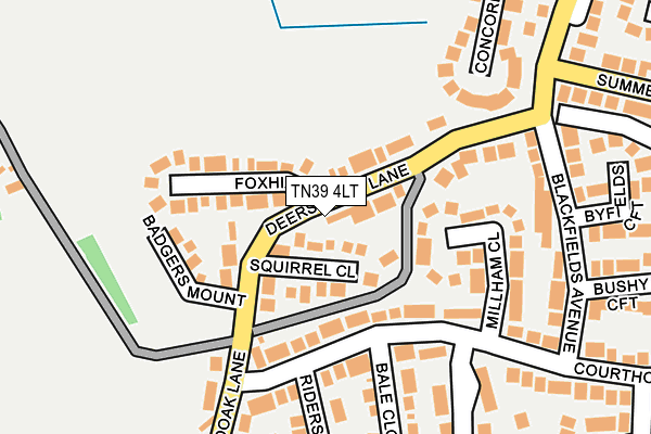 TN39 4LT map - OS OpenMap – Local (Ordnance Survey)