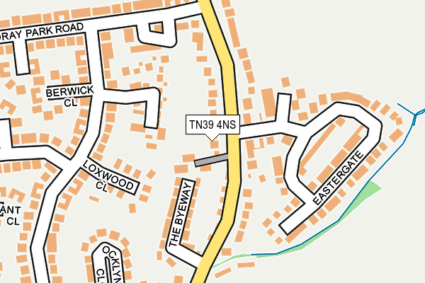 TN39 4NS map - OS OpenMap – Local (Ordnance Survey)