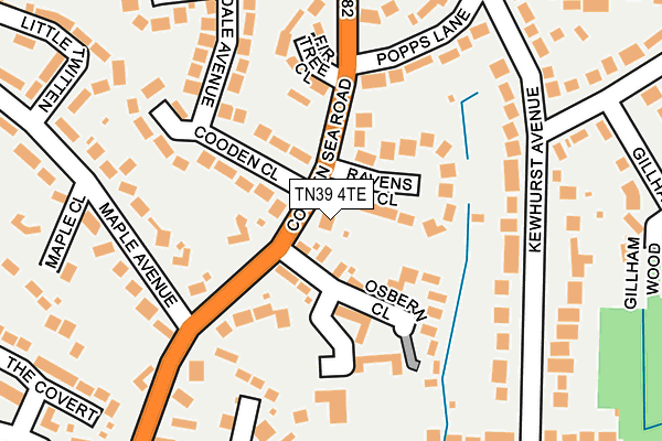 TN39 4TE map - OS OpenMap – Local (Ordnance Survey)