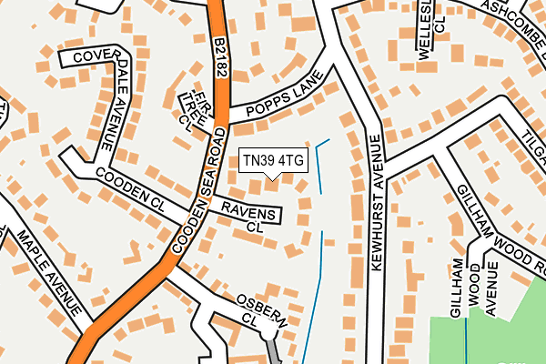 TN39 4TG map - OS OpenMap – Local (Ordnance Survey)