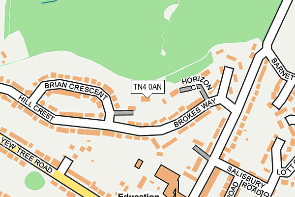 TN4 0AN map - OS OpenMap – Local (Ordnance Survey)