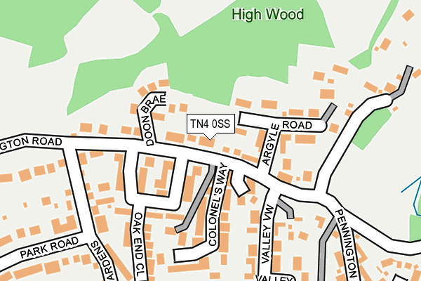 TN4 0SS map - OS OpenMap – Local (Ordnance Survey)