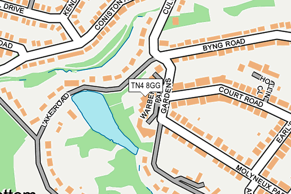 TN4 8GG map - OS OpenMap – Local (Ordnance Survey)