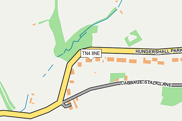 TN4 8NE map - OS OpenMap – Local (Ordnance Survey)