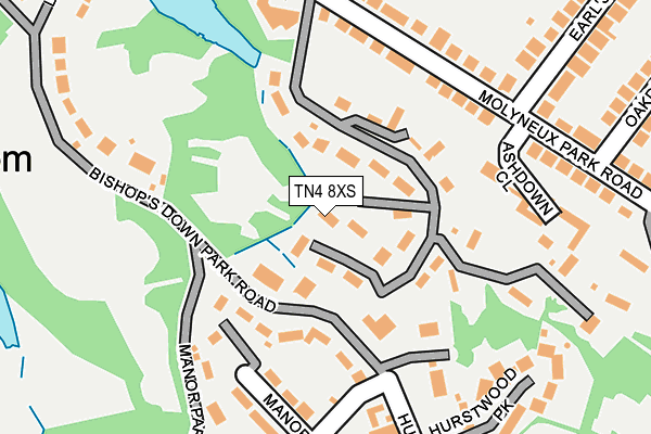 TN4 8XS map - OS OpenMap – Local (Ordnance Survey)