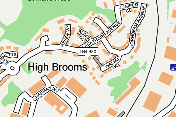 TN4 9XX map - OS OpenMap – Local (Ordnance Survey)