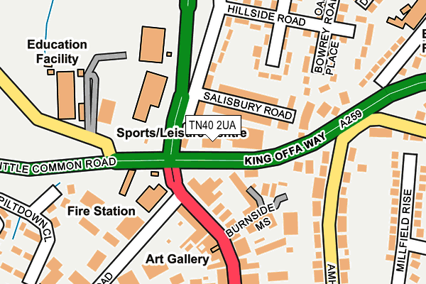 TN40 2UA map - OS OpenMap – Local (Ordnance Survey)