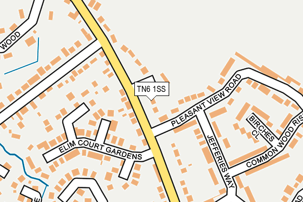 TN6 1SS map - OS OpenMap – Local (Ordnance Survey)