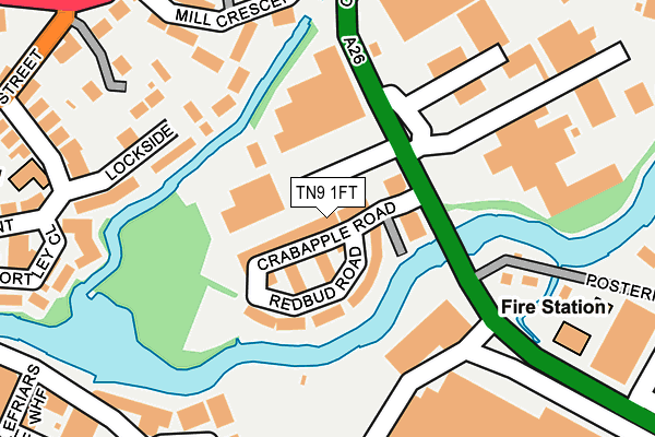 TN9 1FT map - OS OpenMap – Local (Ordnance Survey)