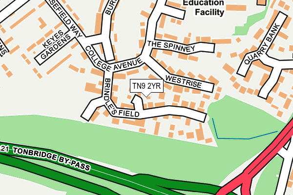 TN9 2YR map - OS OpenMap – Local (Ordnance Survey)