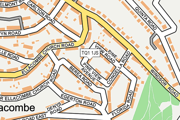 TQ1 1JS map - OS OpenMap – Local (Ordnance Survey)