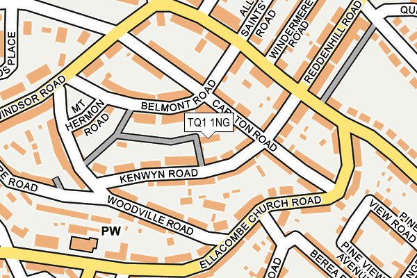 TQ1 1NG map - OS OpenMap – Local (Ordnance Survey)