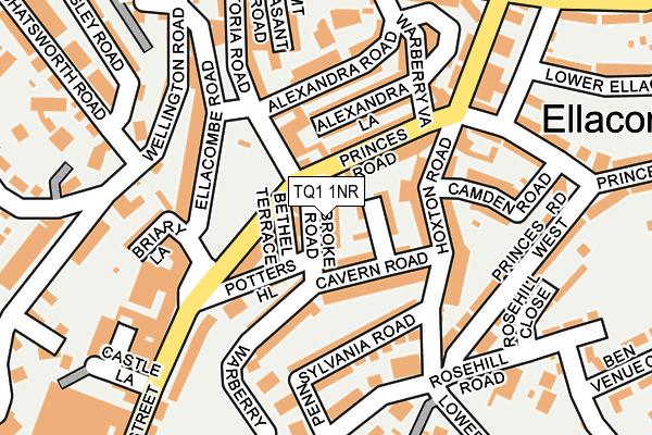 TQ1 1NR map - OS OpenMap – Local (Ordnance Survey)