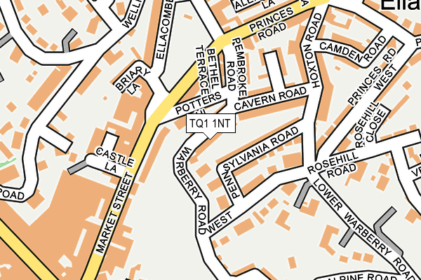 TQ1 1NT map - OS OpenMap – Local (Ordnance Survey)