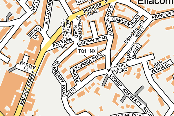 TQ1 1NX map - OS OpenMap – Local (Ordnance Survey)