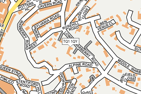 TQ1 1QY map - OS OpenMap – Local (Ordnance Survey)