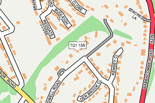 TQ1 1SN map - OS OpenMap – Local (Ordnance Survey)