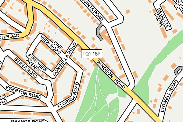 TQ1 1SP map - OS OpenMap – Local (Ordnance Survey)