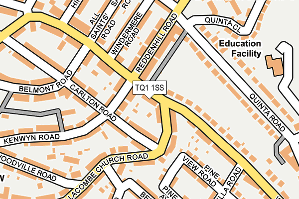 TQ1 1SS map - OS OpenMap – Local (Ordnance Survey)