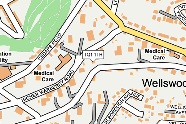 TQ1 1TH map - OS OpenMap – Local (Ordnance Survey)