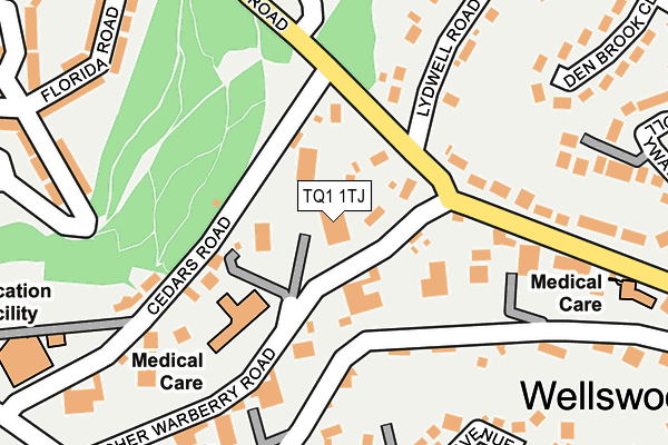 TQ1 1TJ map - OS OpenMap – Local (Ordnance Survey)