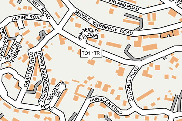 TQ1 1TR map - OS OpenMap – Local (Ordnance Survey)