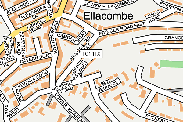 TQ1 1TX map - OS OpenMap – Local (Ordnance Survey)