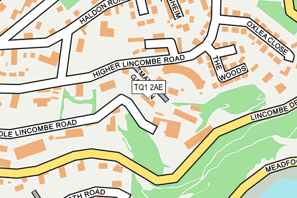 TQ1 2AE map - OS OpenMap – Local (Ordnance Survey)