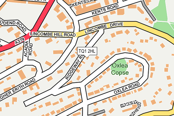 TQ1 2HL map - OS OpenMap – Local (Ordnance Survey)