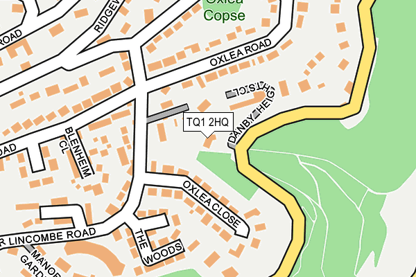 TQ1 2HQ map - OS OpenMap – Local (Ordnance Survey)