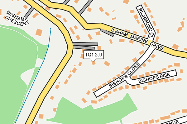 TQ1 2JJ map - OS OpenMap – Local (Ordnance Survey)