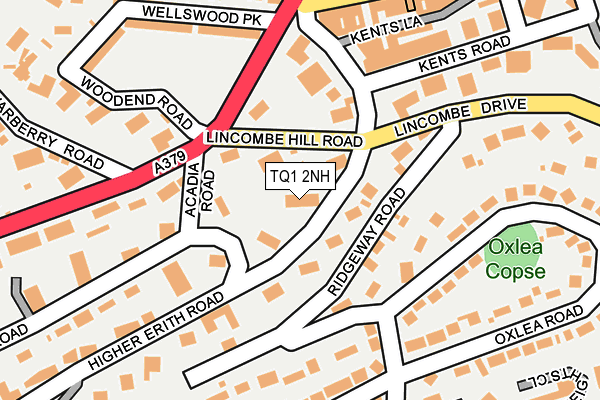 TQ1 2NH map - OS OpenMap – Local (Ordnance Survey)