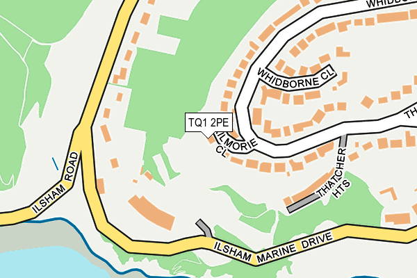 TQ1 2PE map - OS OpenMap – Local (Ordnance Survey)