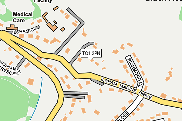 TQ1 2PN map - OS OpenMap – Local (Ordnance Survey)